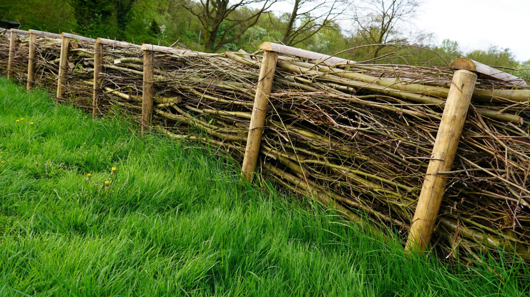 Dead hedge – martwy żywopłot